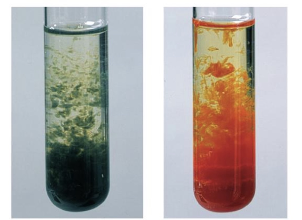 Visuel 2 — physique-chimie