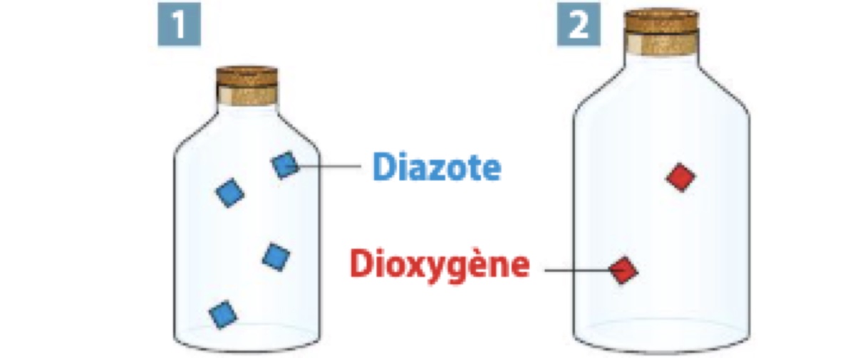 Visuel 11 — physique-chimie